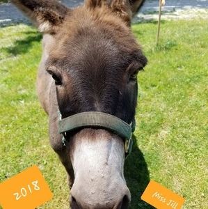 Meet your Posher, Cheryl a